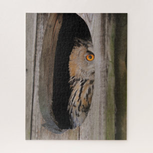 Neugierige Owl Peeking von Zuhause Puzzle
