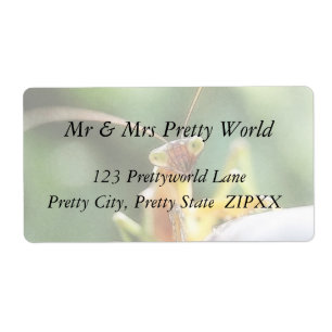 Neugierige Prachtmantien