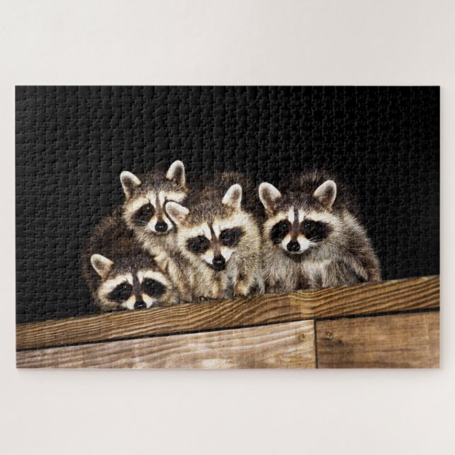 Neugierige Raccoon-Familie, Jigsaw Puzzle (Horizontal)