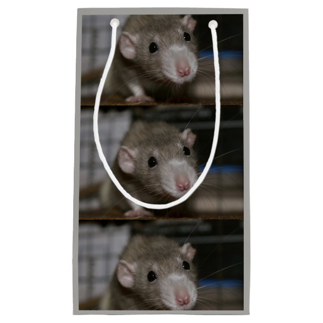 Neugierige Ratte Kleine Geschenktüte (Vorderseite)