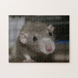 Neugierige Ratte Puzzle