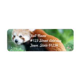 Neugierige Red Panda Mailing Labels