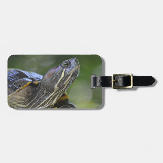 Neugierige Schildkröte Gepäckanhänger (Vorderseite horizontal)