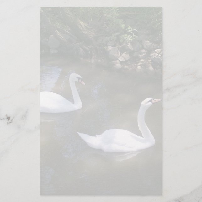 Neugierige Schwans Stationery Briefpapier (Vorderseite)