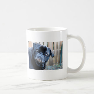 Neugierige schwarze Mops-Tasse Tasse