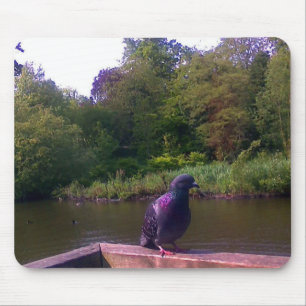 Neugierige Taube Mousepad