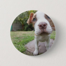 Neugierige Welpe Button