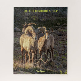 Neugierige Wüstenbighorn Sheep Ram and Ewes Puzzle