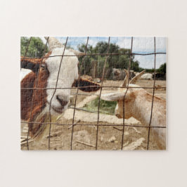 Neugierige Ziege - Puzzlespiel Puzzle