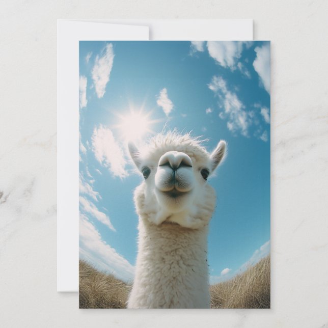 Neugieriger Alpaca unter der Sonne Einladung (Vorderseite)