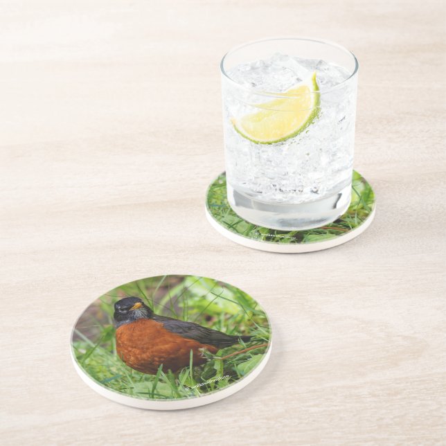 Neugieriger amerikanischer Robin Songbird im Gras Getränkeuntersetzer (Seite)