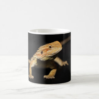 Neugieriger bärtiger Drache Kaffeetasse