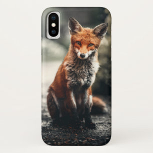 Neugieriger Big Red and White Fox in der Natur Case-Mate iPhone Hülle