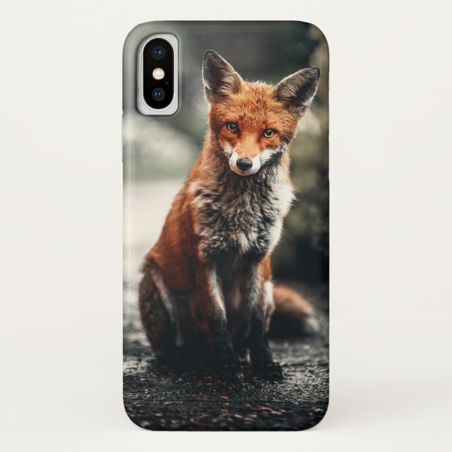Neugieriger Big Red and White Fox in der Natur Case-Mate iPhone Hülle (Rückseite)
