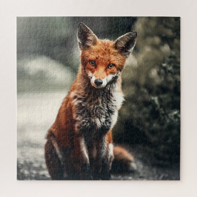 Neugieriger Big Red and White Fox in der Natur Puzzle (Vertikal)