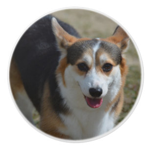 Neugieriger Corgi Keramikknauf