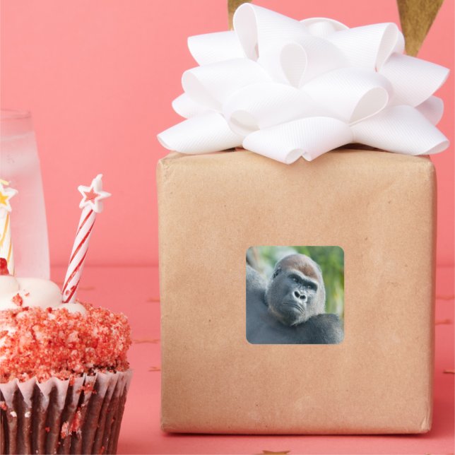 Neugieriger Gorilla steht aufrecht Quadratischer Aufkleber (Party)