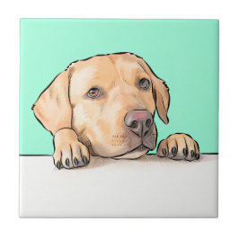 Neugieriger Hund Fliese