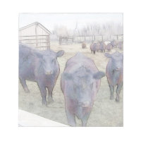 Neugieriger junger Schwarzer Angus