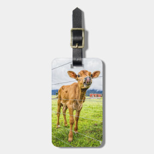 Neugieriger Kalb-Gepäckanhänger Gepäckanhänger
