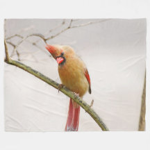Neugieriger Kardinal Fleece Blanket