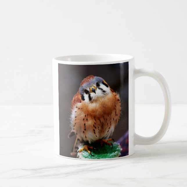 Neugieriger Kestrel Tasse (Rechts)