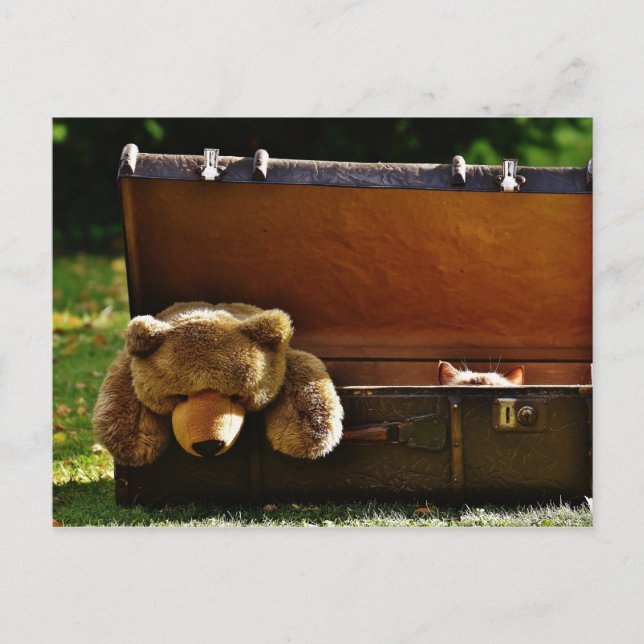 Neugieriger Koffer mit gestopfter Teddy Postkarte (Vorderseite)