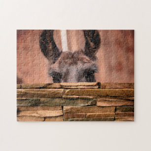 Neugieriger Llama, Jigsaw Puzzle
