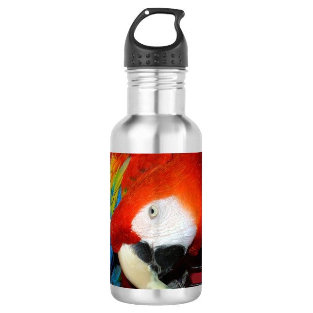 Neugieriger Macaw Trinkflasche (Vorderseite)
