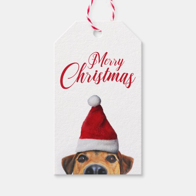 Neugieriger Niedlicher Hund mit Weihnachtsmannmütz Geschenkanhänger (Vorderseite)