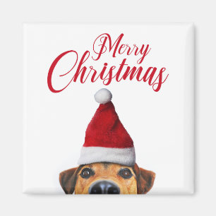 Neugieriger Niedlicher Hund mit Weihnachtsmannmütz Magnet