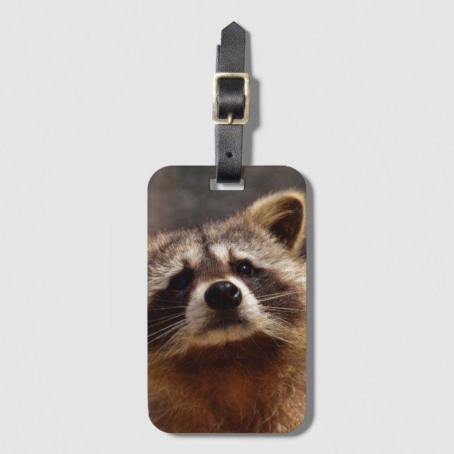 Neugieriger Raccoon Gepäckanhänger (Vorderseite Vertikal)
