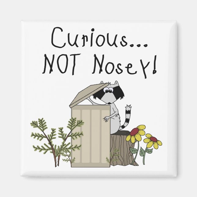 Neugieriger Raccoon Magnet (Vorne)