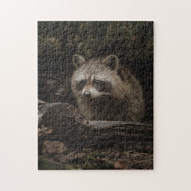 Neugieriger Racoon im Puzzle des Waldtieres (Vertikal)