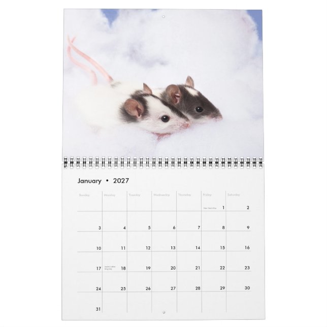 Neugieriger Ratty Kalender 2011 (Jan 2027)