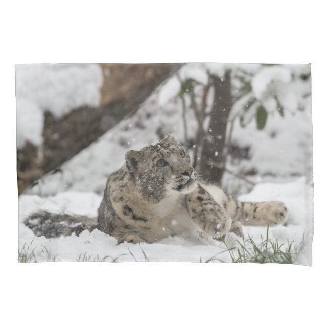 Neugieriger Schnee-Leopard im Schnee Kissenbezug (Vorderseite)