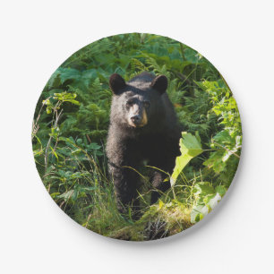 Neugieriger schwarzer Bär Pappteller