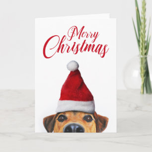 Neugieriger süßer lustiger Hund mit Weihnachtsmann Karte