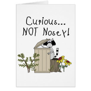 Neugieriger Waschbär