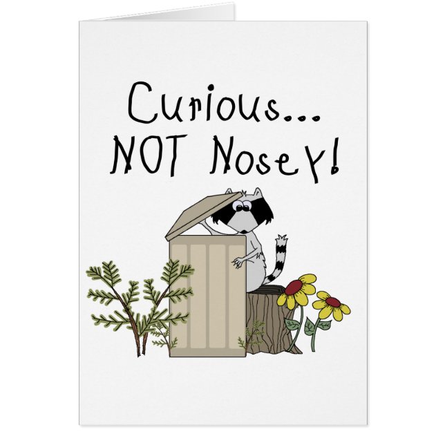 Neugieriger Waschbär (Vorne)