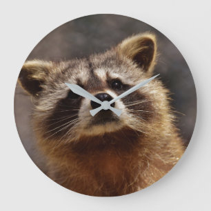 Neugieriger Waschbär Große Wanduhr
