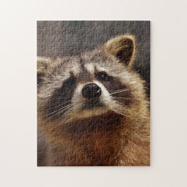 Neugieriger Waschbär Puzzle (Vertikal)