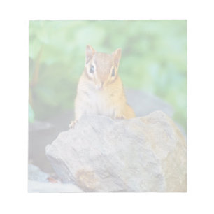 Neugieriges Baby Chipmunk Notizblock