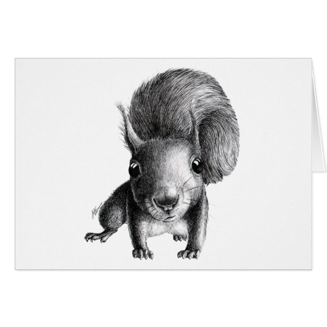 Neugieriges Eichhörnchen (Vorderseite (Horizontal))