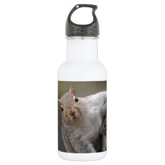 Neugieriges Eichhörnchen Trinkflasche