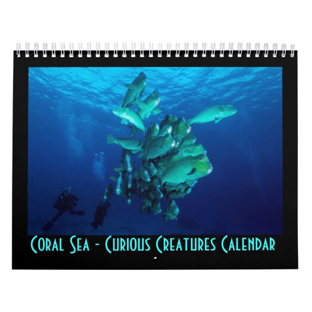 Neugieriges Geschöpf-Great Barrier Reef Kalender (Titelbild)