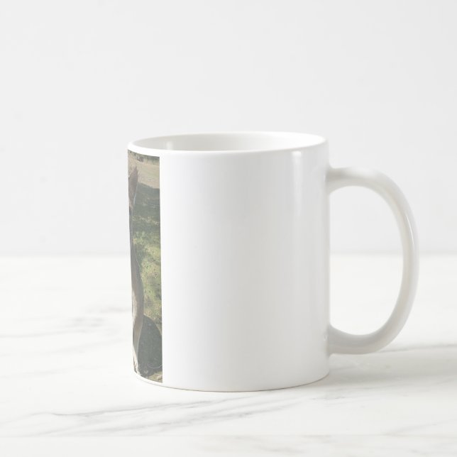 Neugieriges Kangarooo Kaffeetasse (Rechts)