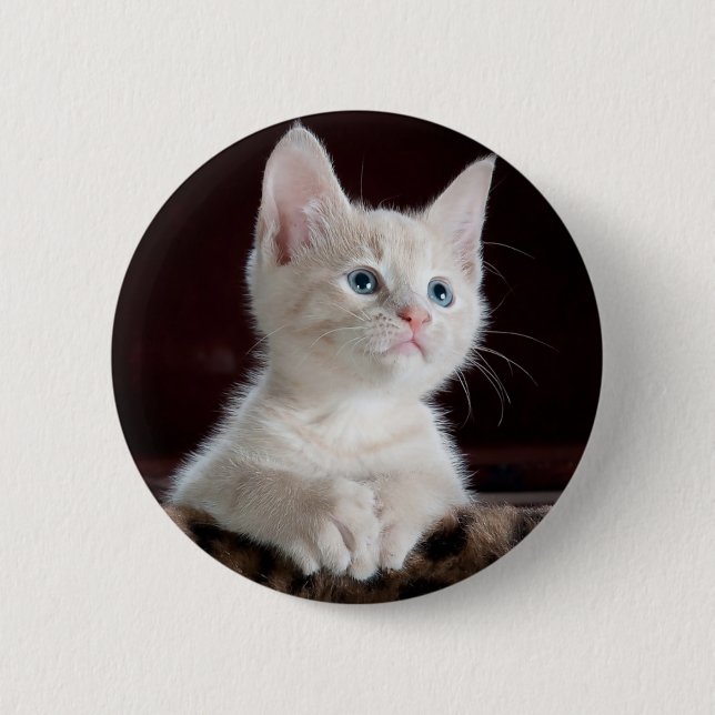 Neugieriges Kätzchen Button (Vorderseite)