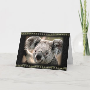 Neugieriges Koala-Grußkarte Karte