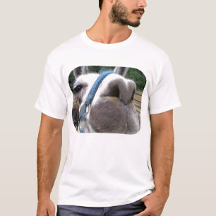 Neugieriges Lama T-Shirt